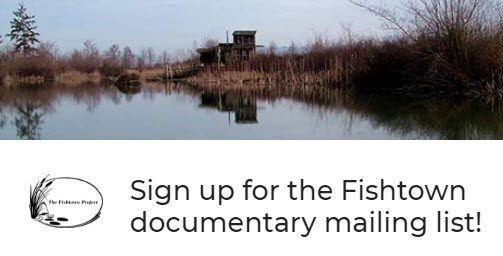 newsletter signup